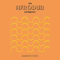 The Afrodub Experience