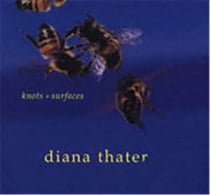 Diana thater: knots + surfaces