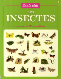 Les insectes - avec plus de 100 autocollants - sur la piste