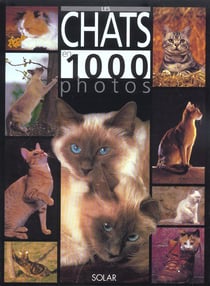 Chats en 1000 photos