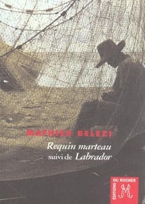 Requin marteau - labrador