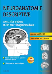 Neuroanatomie descriptive - bases morphologiques et clés pour l'imagerie médicale