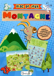 PETIT BLOC DE JEUX MONTAGNE - 5 ANS ET +