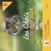 Calendrier des chats (édition 2024)