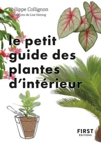 Le petit guide des plantes d'intérieur