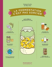 La fermentation c'est pas sorcier : Petit précis de fermentation