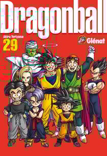 Dragon ball Tome 29