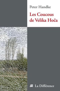 Coucous de Velika Hova