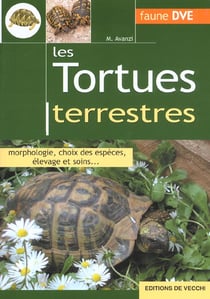 Tortues terrestres