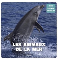 La mer