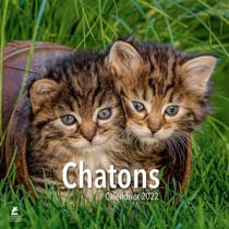 Chatons : calendrier (édition 2022)