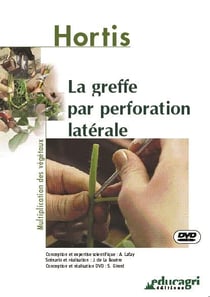 La greffe par perforation latérale