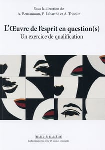 L'oeuvre de l'esprit en question (s) - un exercice de qualification
