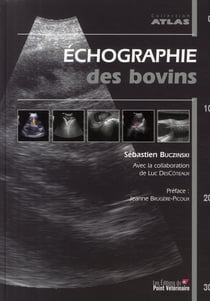 Échographie des bovins
