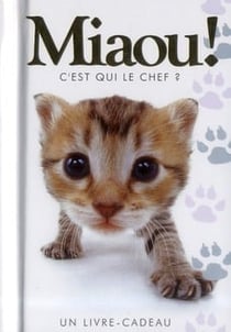Miaou ! c'est qui le chef ?