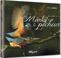 Martin le pêcheur