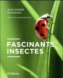 Fascinants insectes