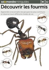 Miniguide 52 - Découvrir les fourmis