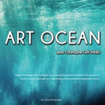 Art océan