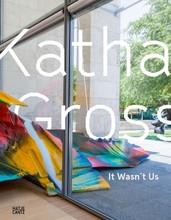 Katharina grosse: it wasn't us
