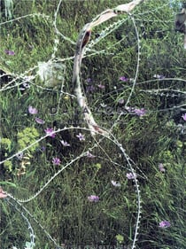 Datazone