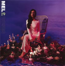 19 roses