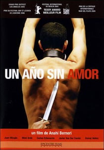 Un Año sin amor