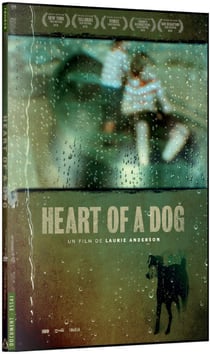 Heart of a Dog
