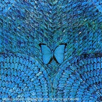 Borboletta - CD