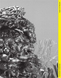Permanent collection issue 05