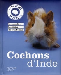 Cochons d'inde