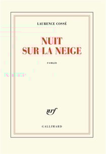 Nuit sur la neige