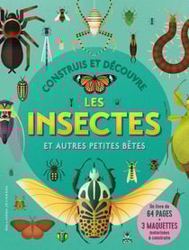 Construis et découvre : les insectes
