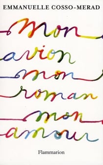 Mon avion, mon roman, mon amour