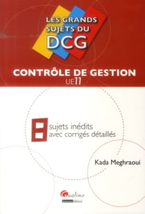 LES GRANDS SUJETS DU DCG 11 - CONTRÔLE DE GESTION