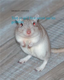 Tout ce qu il faut savoir sur les gerbilles