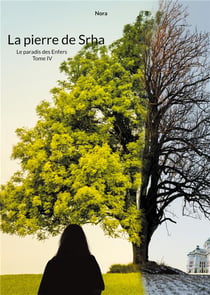 Le paradis des enfers t.4 : la pierre de Srha