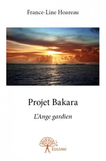 Projet bakara - l'ange gardien