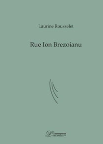 Rue ion brezoianu - poème-fleuve