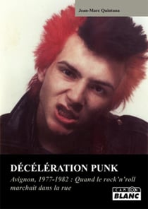 Décélération punk - avignon 1977-1980 : quand les punks arpentaient les rues
