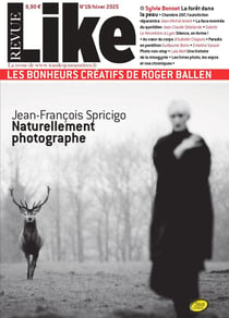 Revue Like n.19 : Jean-François Spricigo