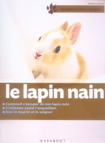 Le lapin nain