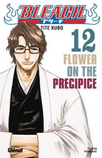 Bleach Tome 12 : flower on the precipice