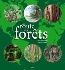 La route des forêts