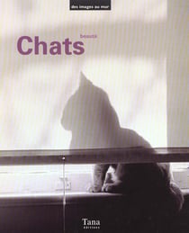 Chats beaute