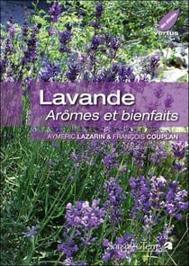 Lavande - arômes et bienfaits