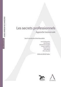 Les secrets professionnels - approche transversale