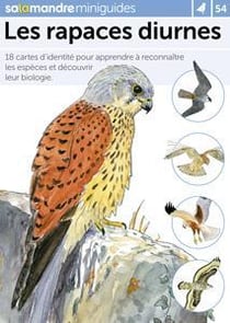 Miniguide 54 - Les rapaces diurnes