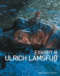 Ulrich Lamsfuß - Exhibit-E