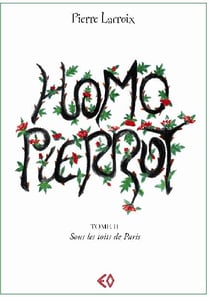 Homo Pierrot t.2 - sous les toits de Paris
